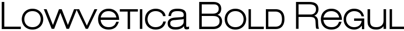 Lowvetica Bold Regular font
