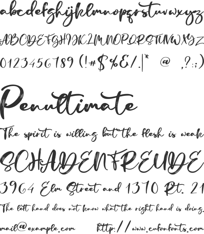 Manstro Brush Style font preview