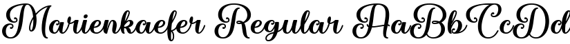 Marienkaefer Regular font