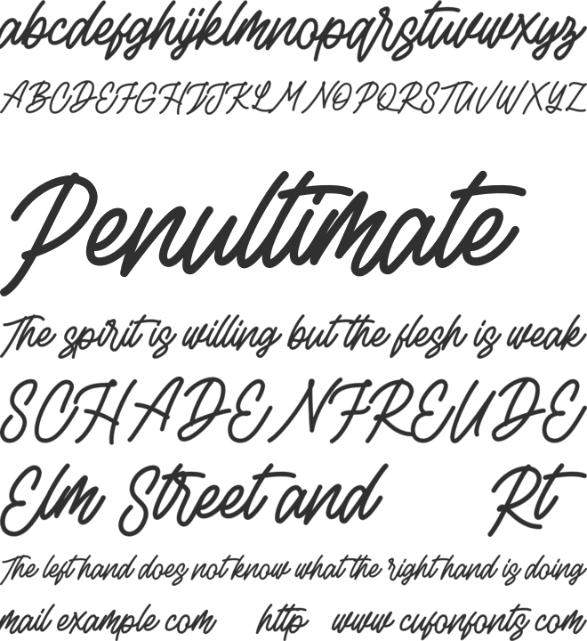 Rottordam  FREE font preview