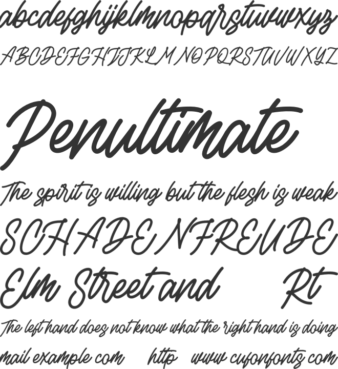 Rottordam  FREE font preview