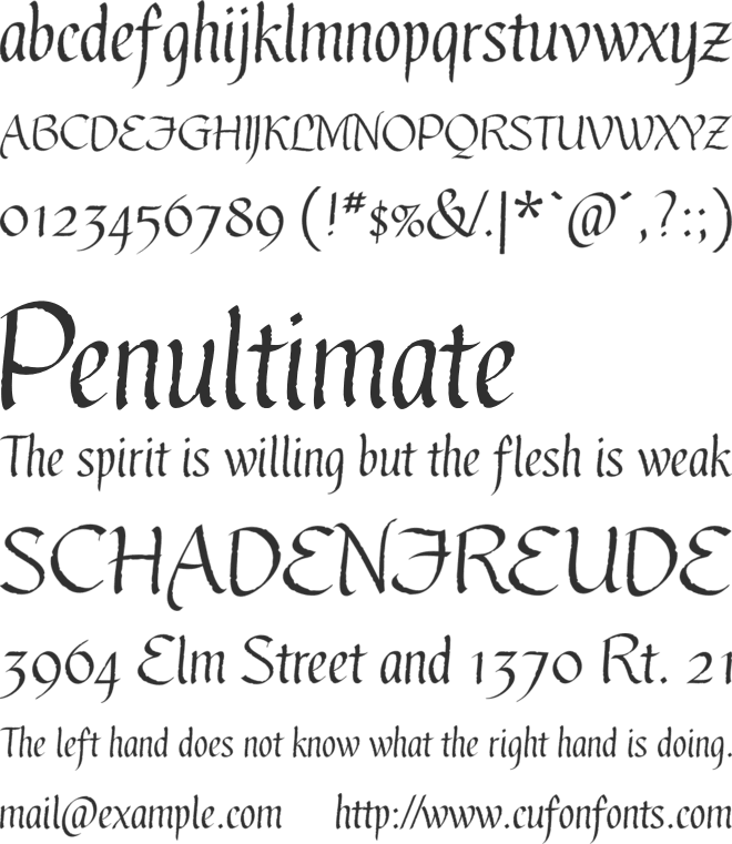 Gothic Ultra OT font preview