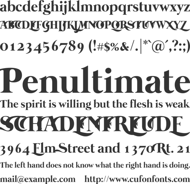 Mermaid Swash Caps font preview