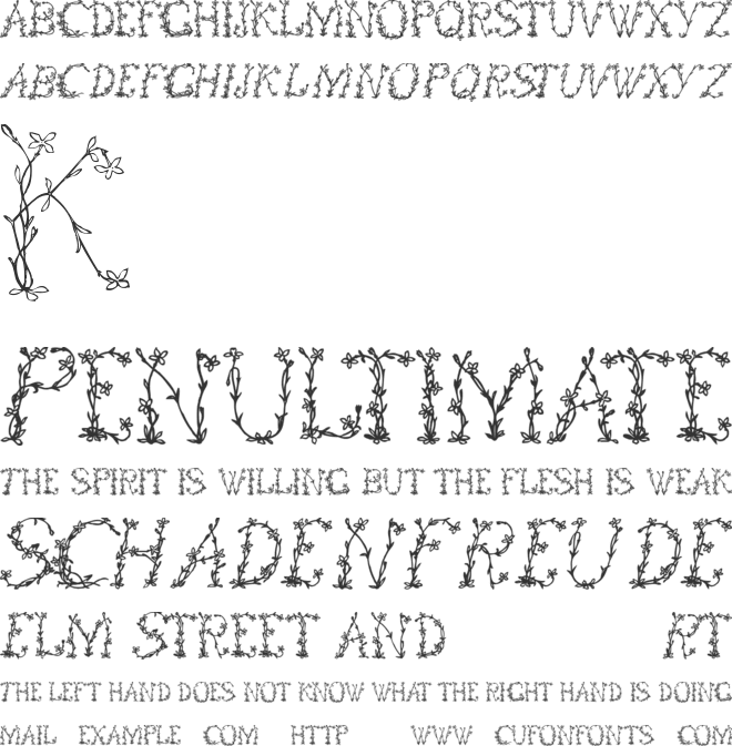 Floral font preview