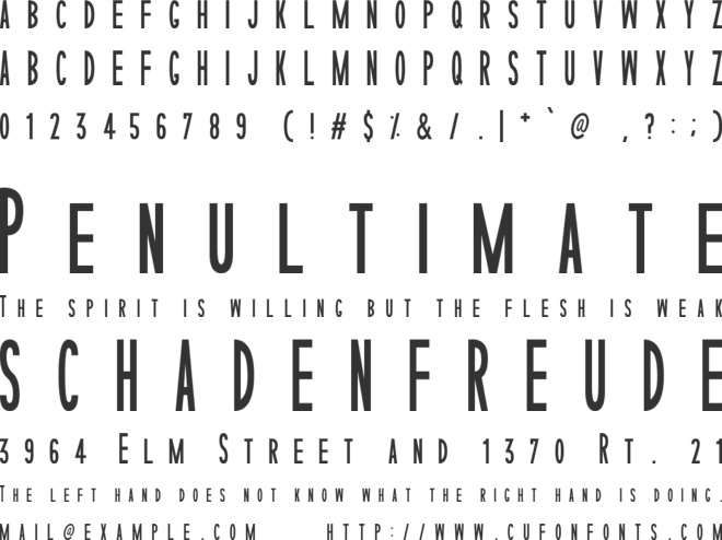 Sophisticated Slims font preview