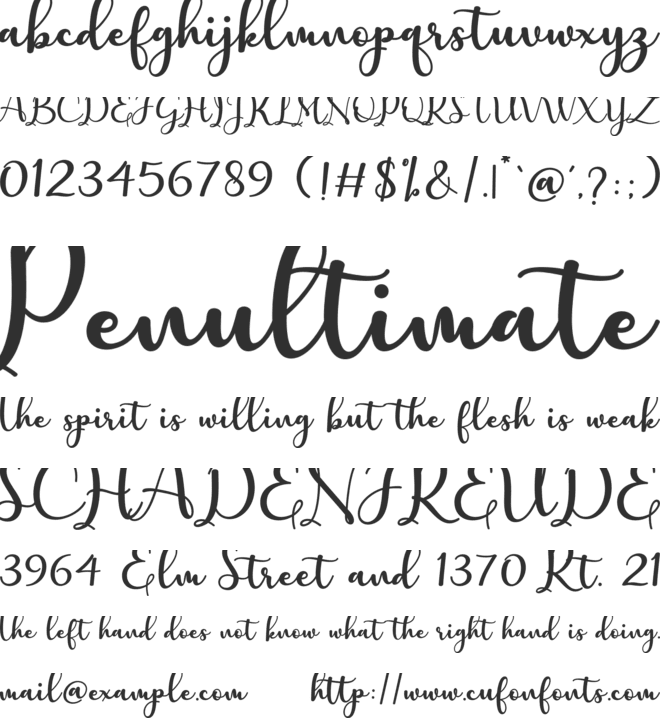 charlotte font preview