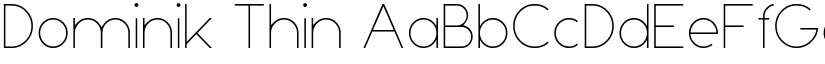 Dominik Thin font