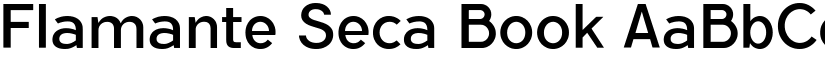 Flamante Seca Book font