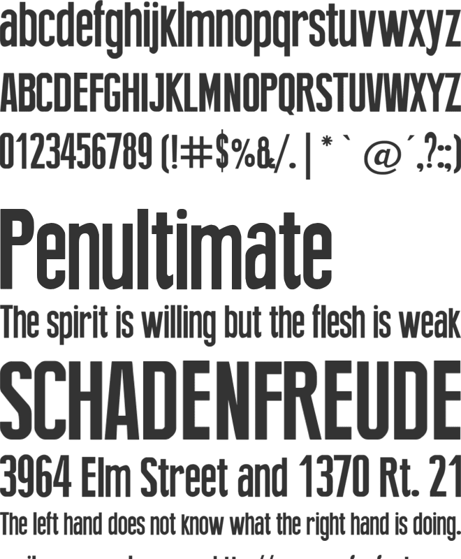 New Press font preview