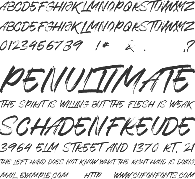 Rhogsainel font preview