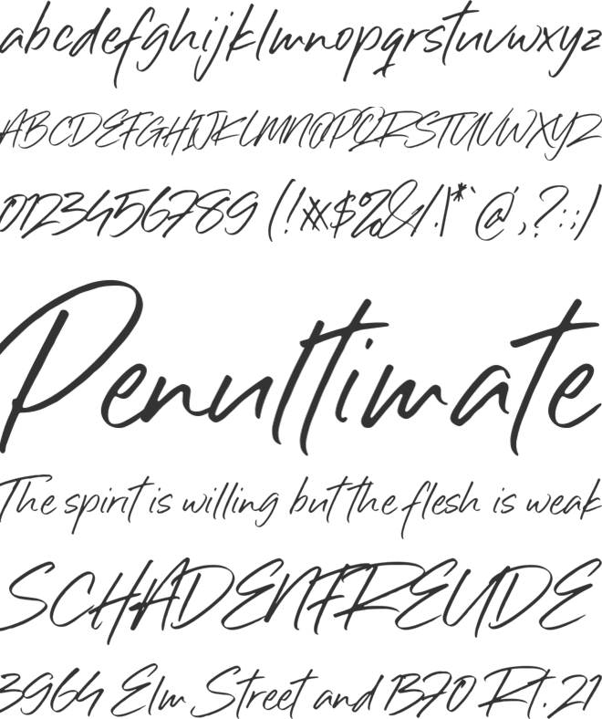 Sillii Willinn font preview