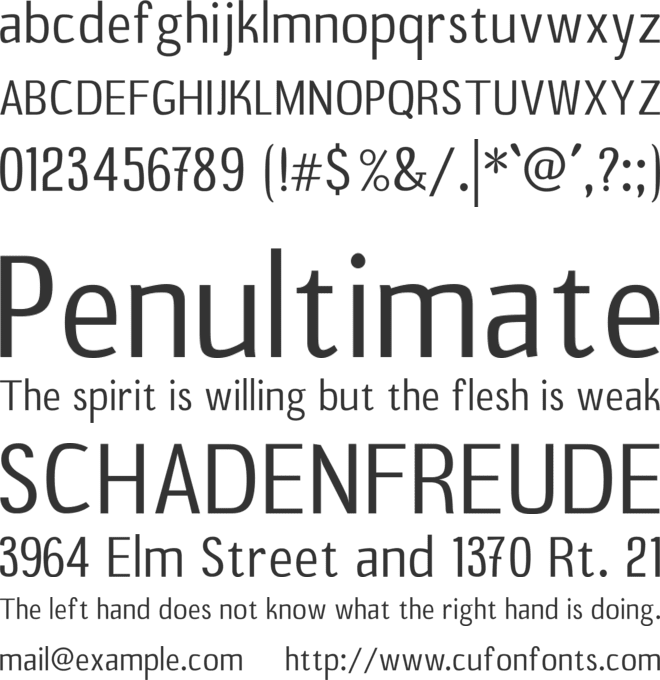 B20 Sans font preview