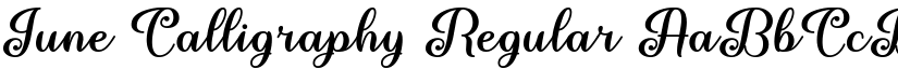 June Calligraphy Regular font