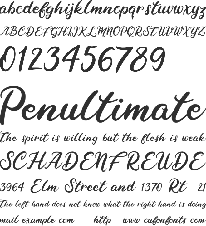 Raybent Mango font preview