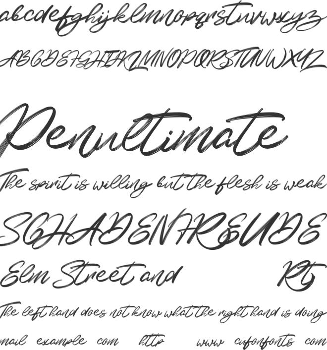 Kalvise Brushy font preview
