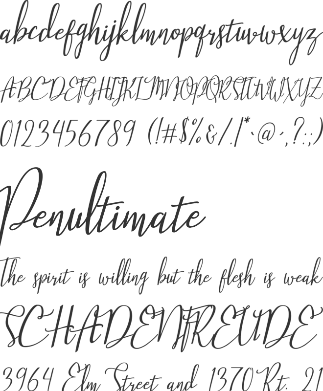 Stellaria font preview