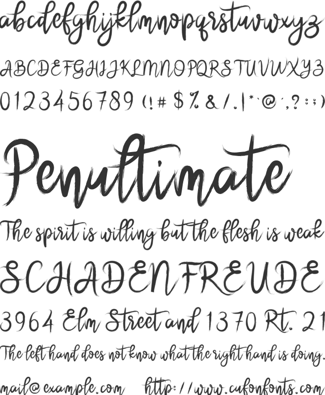 brushnyoe font preview