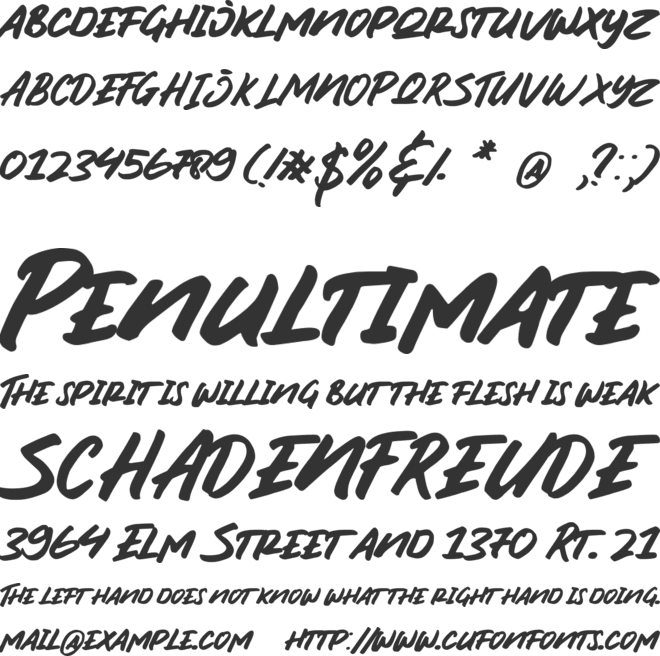 Hype Quarter font preview