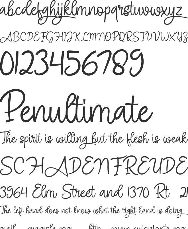 Angel Signature font preview