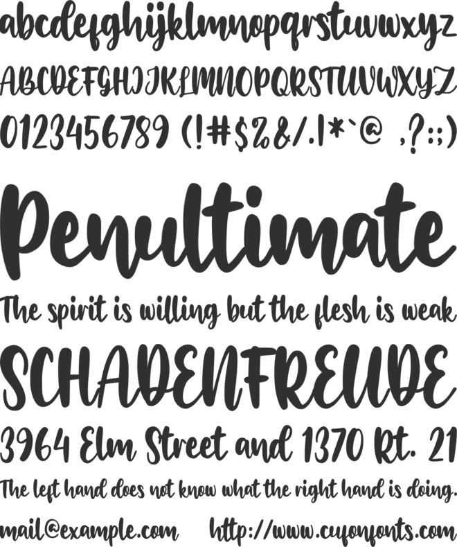 Wheslayne Script font preview