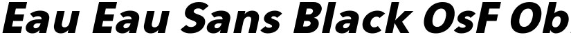 Eau Eau Sans Black OsF Oblique font