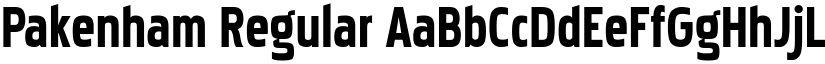 Pakenham Regular font