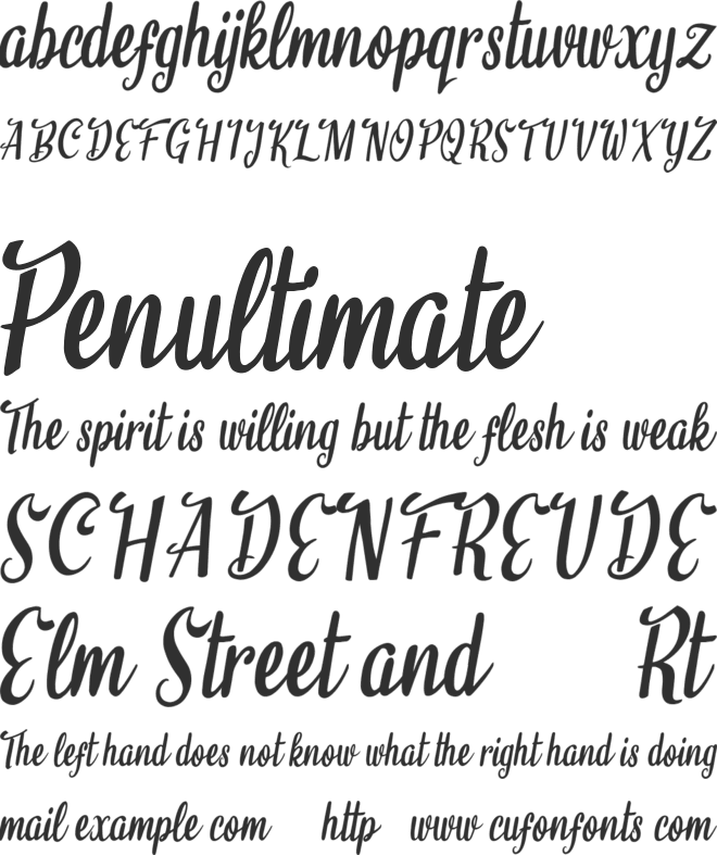 Believe it font preview