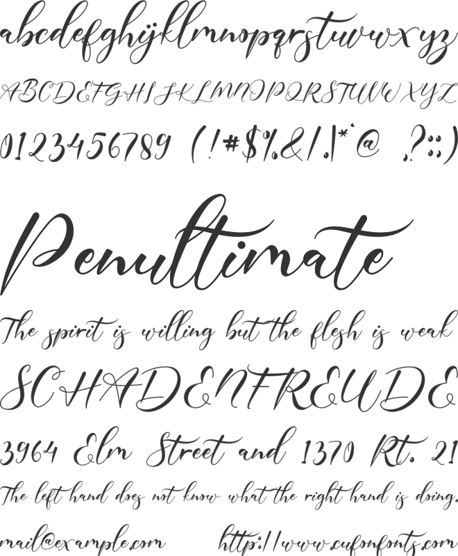 Poppy Shower font preview