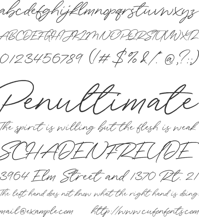 Wonder Bay font preview