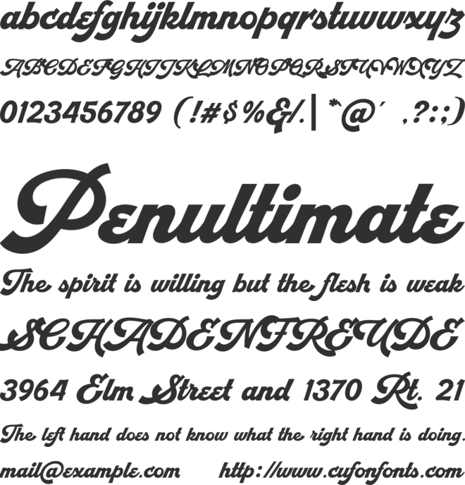 Retrofunk Script Personal Use font preview