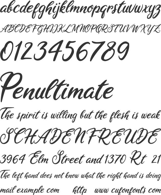 Ariana Violeta font preview