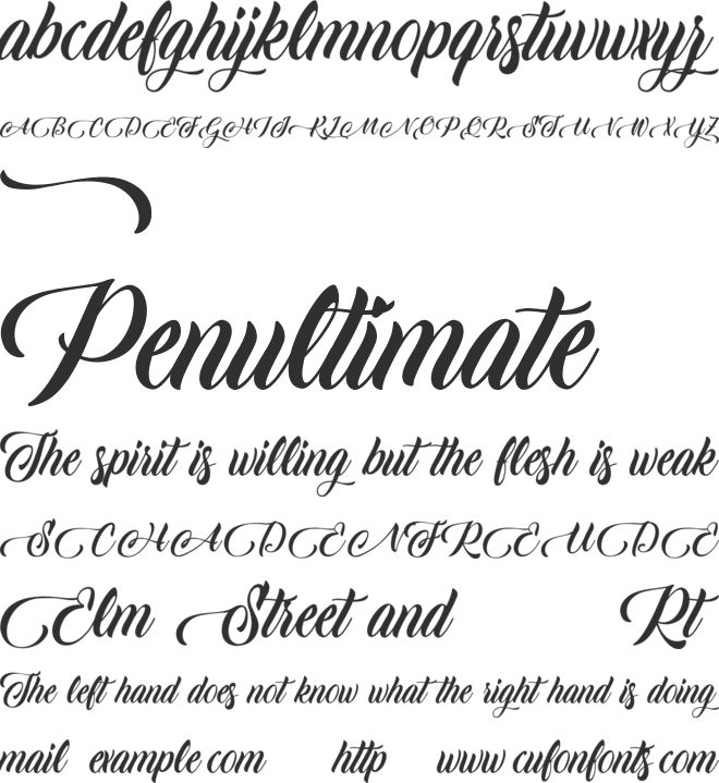Edelweiss Flow font preview