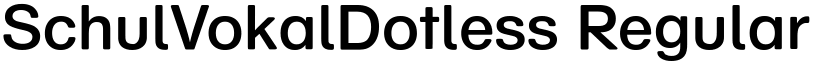 SchulVokalDotless Regular font