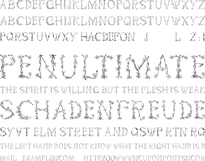 Florabetic font preview