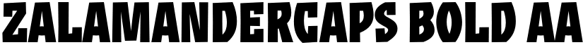 ZalamanderCaps Bold font