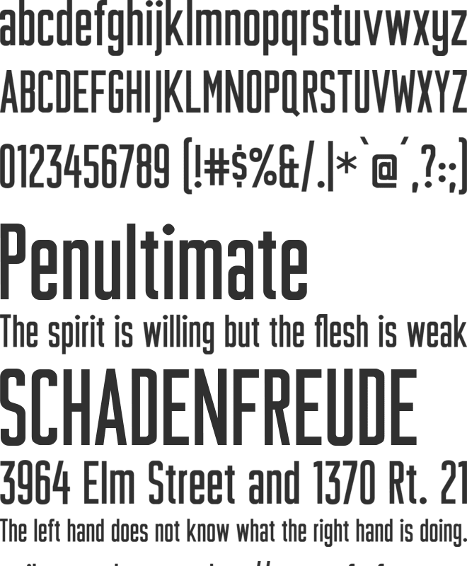 Plakative Grotesk font preview