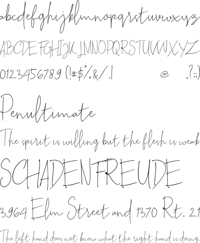 Sallita Free for personal only font preview