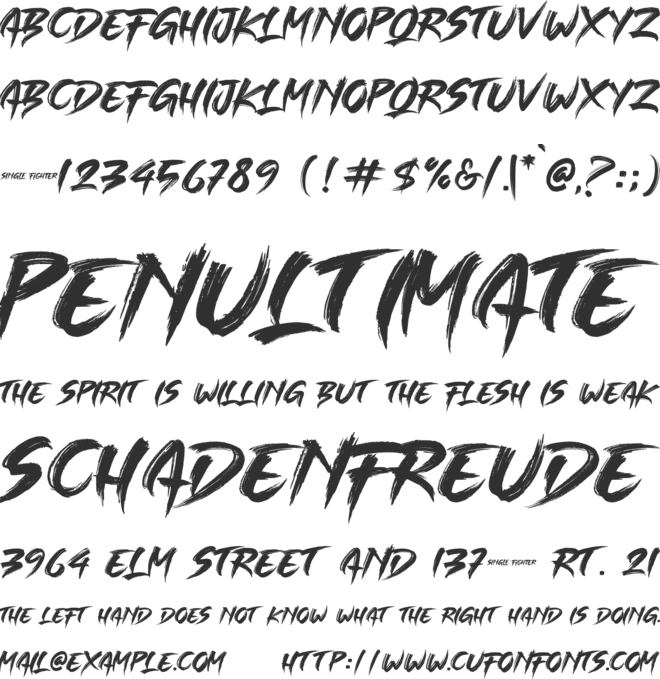 SINGLE FIGHTER font preview
