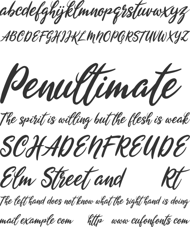 Wyntex Brasco font preview