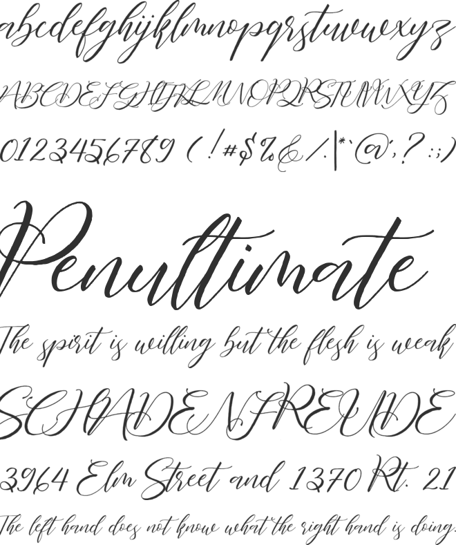 Fathir Script Personal Use Only font preview