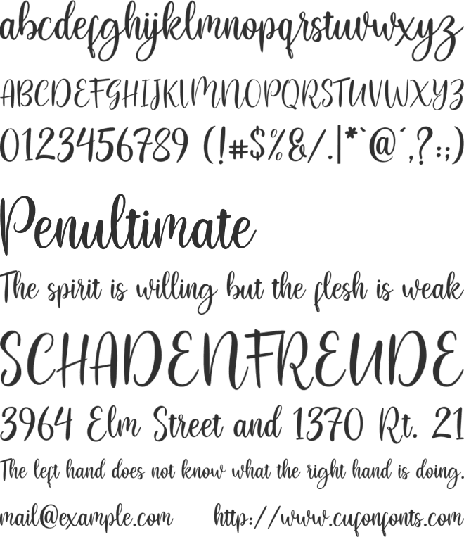 flashback font preview