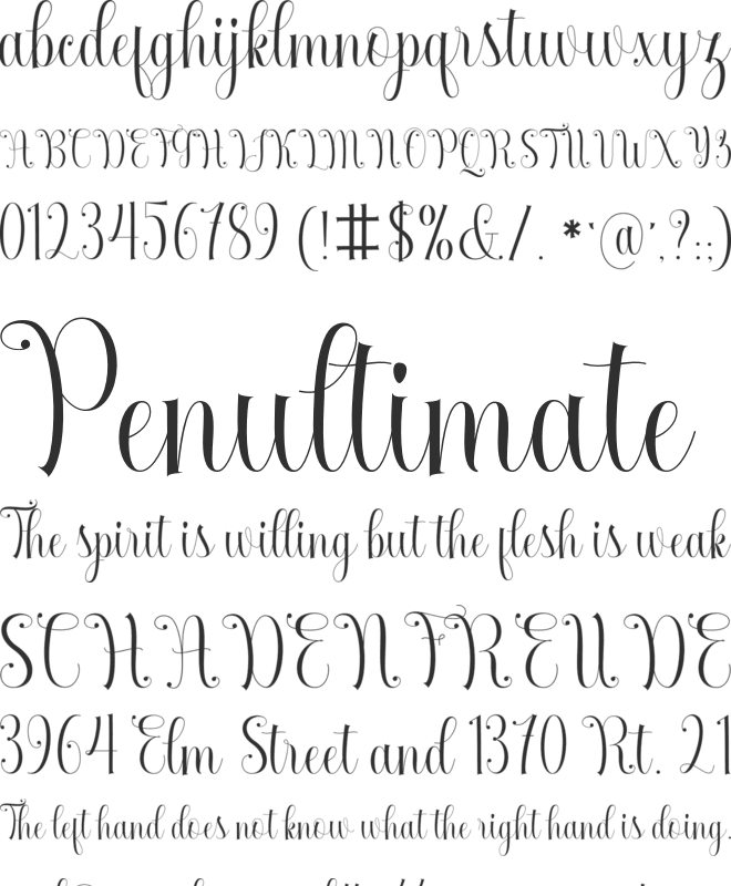 Armadilla font preview