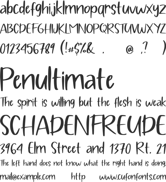 Pig Year Display font preview
