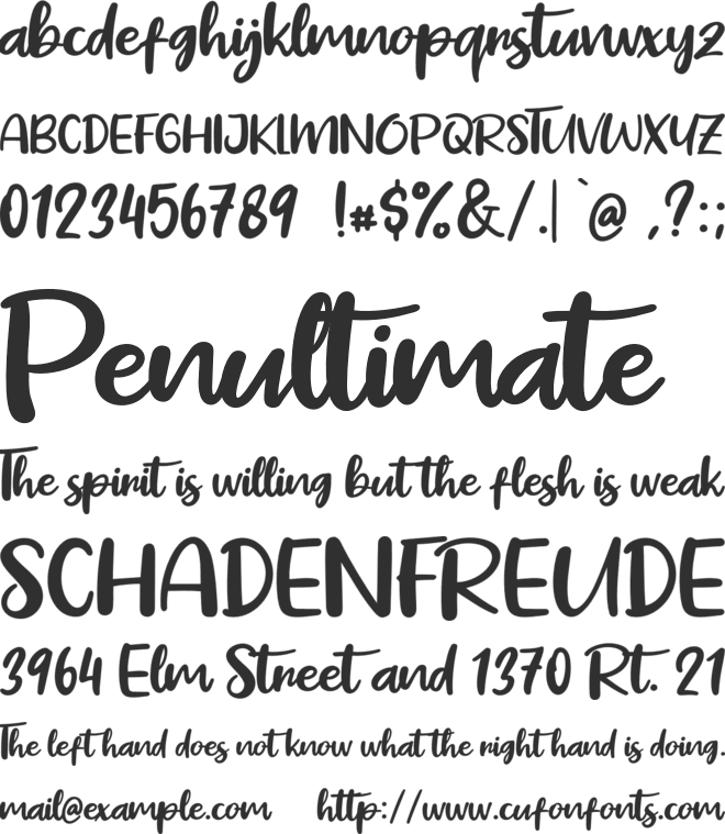 Pig Year font preview