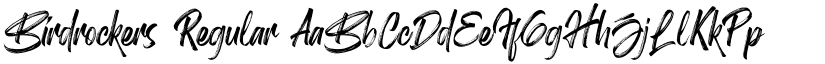 Birdrockers Regular font