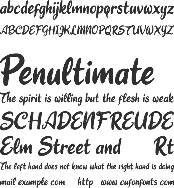Charlie Zonk font preview
