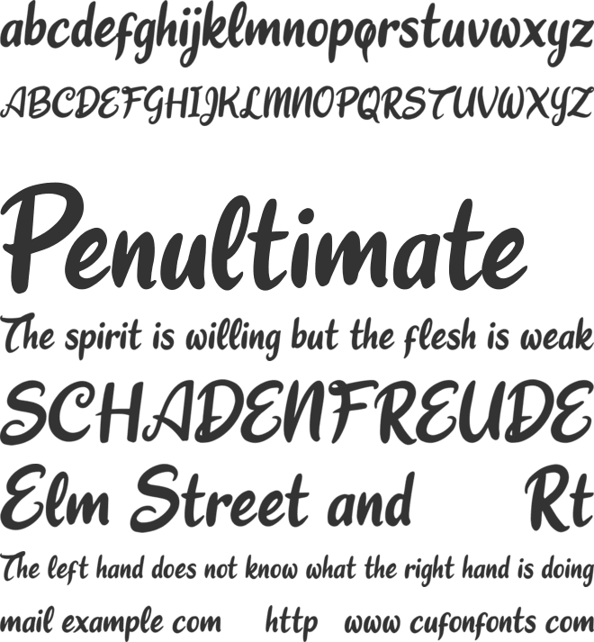 Charlie Zonk font preview