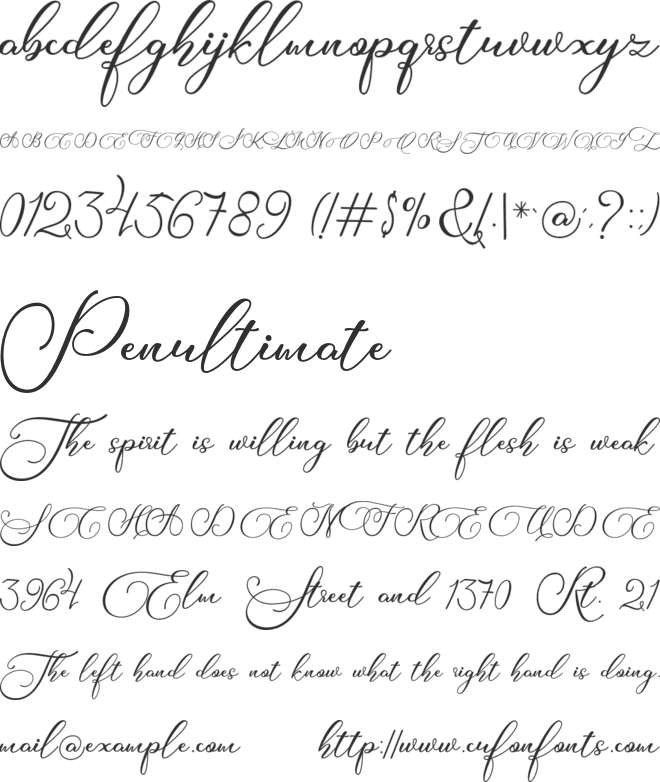 Biargabara Script font preview