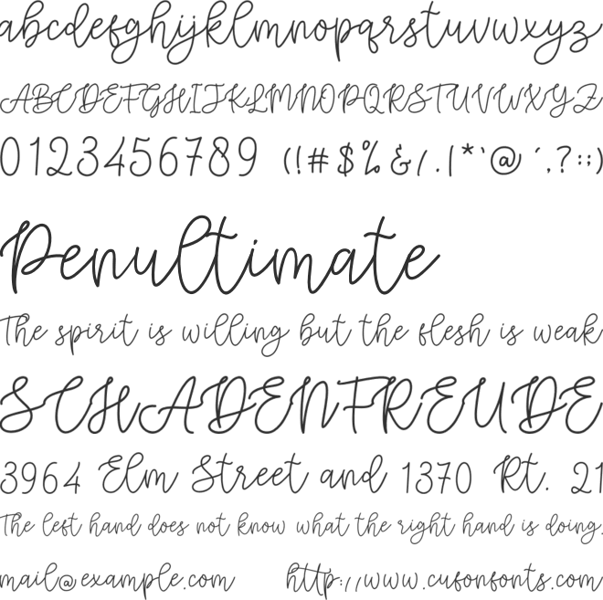 Cattoms cute font preview