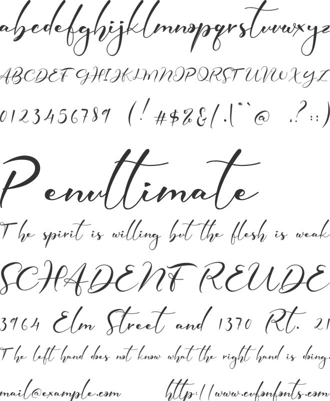 Elmira font preview